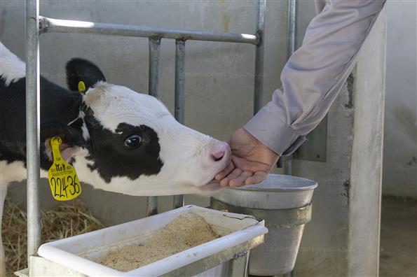 کار برای تامین امنیت کشور؛ این بار در حوزه غذا