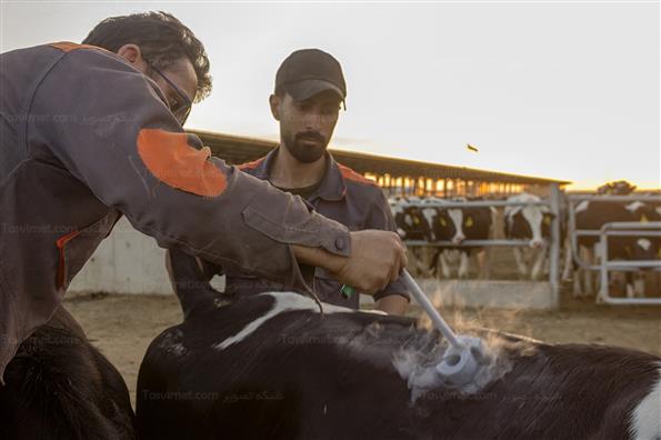 کار برای تامین امنیت کشور؛ این بار در حوزه غذا