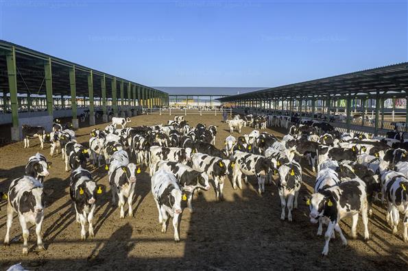 کار برای تامین امنیت کشور؛ این بار در حوزه غذا