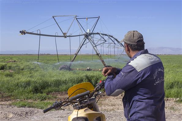 کار برای تامین امنیت کشور؛ این بار در حوزه غذا