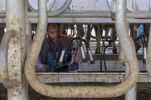 کار برای تامین امنیت کشور؛ این بار در حوزه غذا