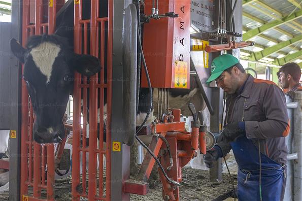 کار برای تامین امنیت کشور؛ این بار در حوزه غذا