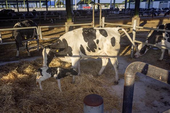 کار برای تامین امنیت کشور؛ این بار در حوزه غذا