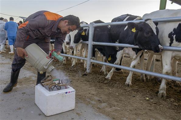 کار برای تامین امنیت کشور؛ این بار در حوزه غذا