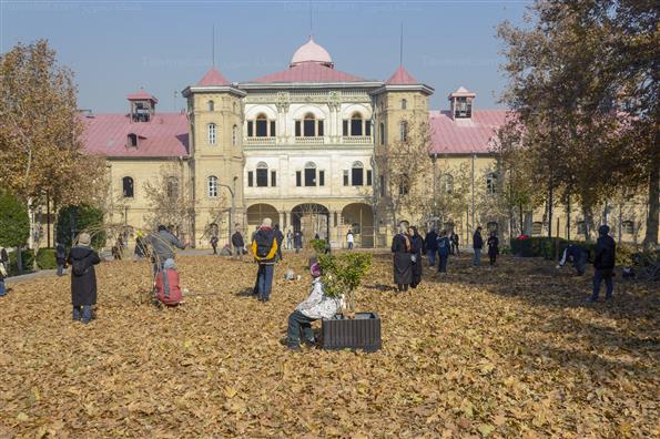 چهارمین رویداد هنری پاییز برگ در میدان مشق تهران